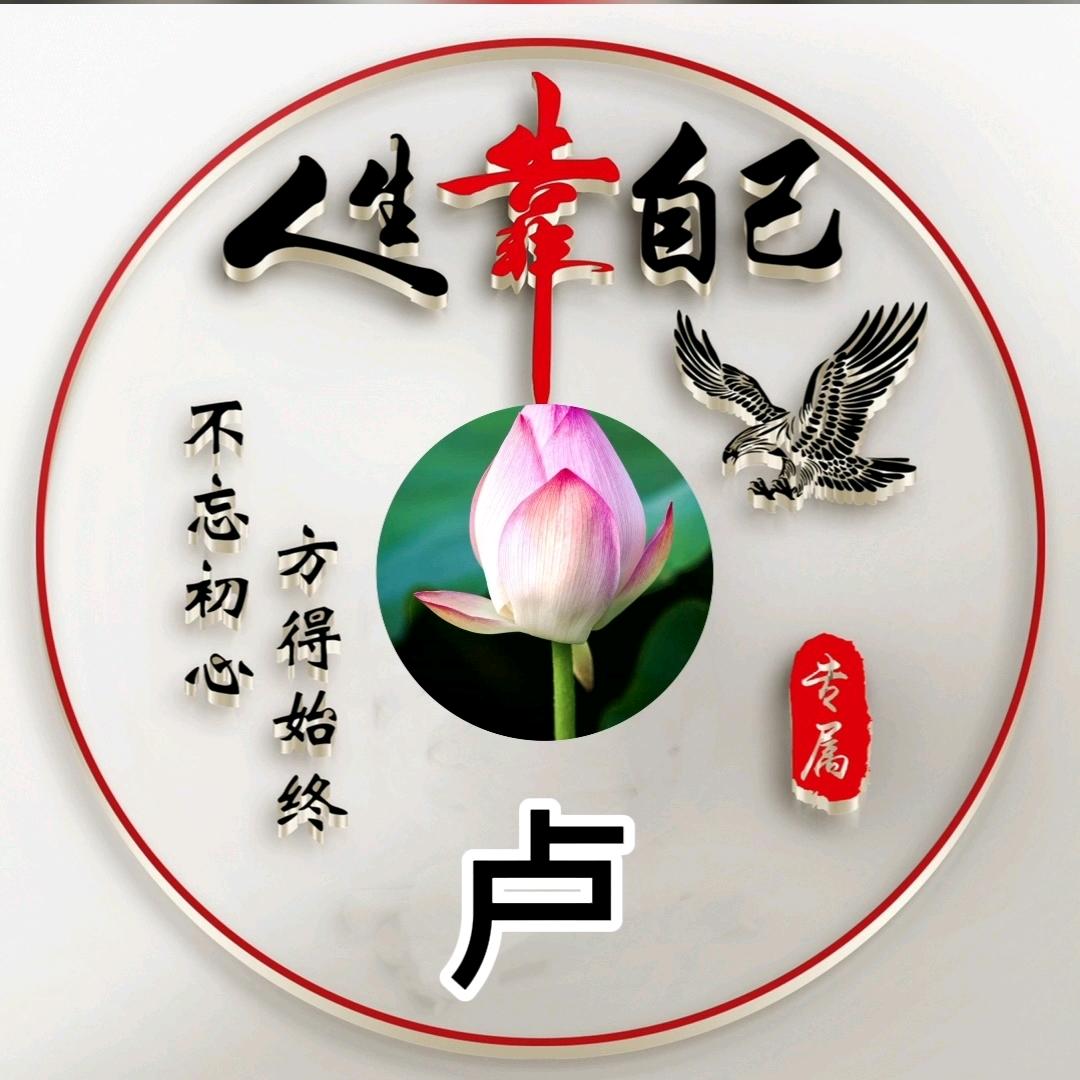 卢
