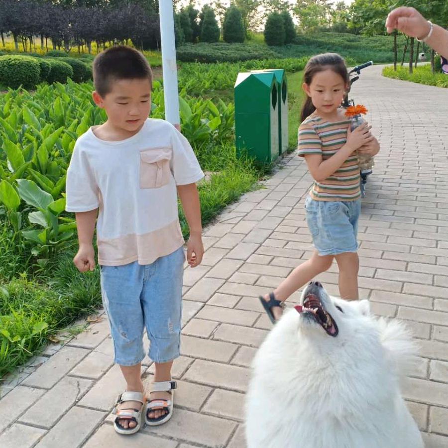 罗丽丝好物推荐官（合阳东大街）