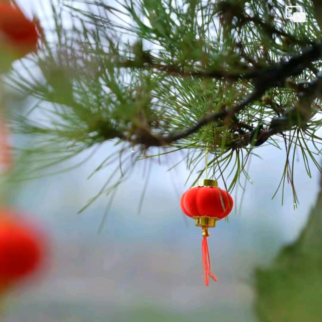 阳光🎤（下午2点10分左右）