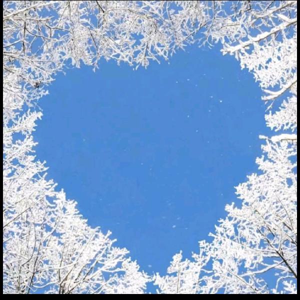 青海胜源农业科技有限公司