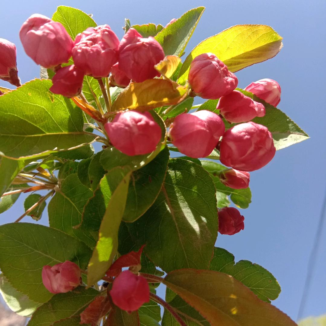 最怕牵挂