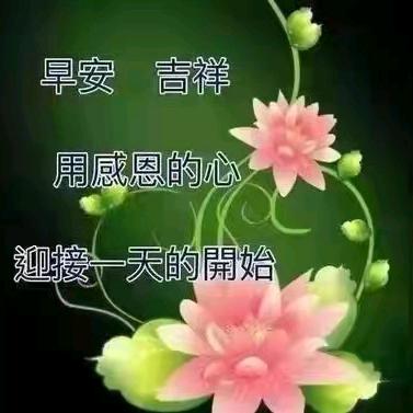 ：陌生人