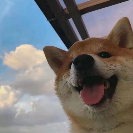 手可捉大鹏
