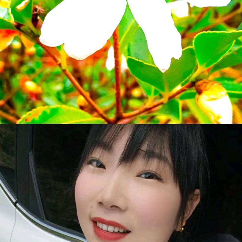 花大哥