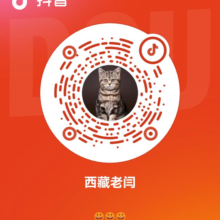 流浪在西藏的老闫
