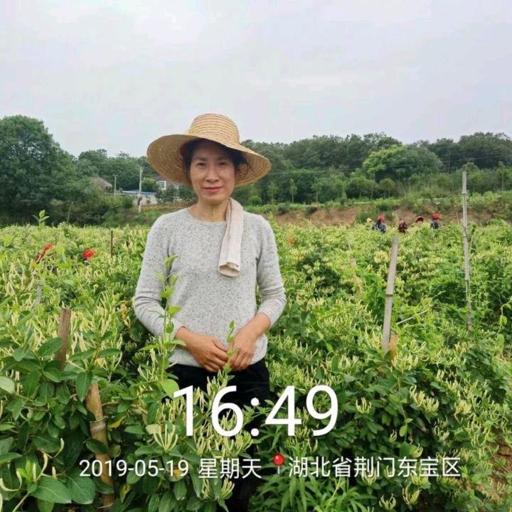 向晓春