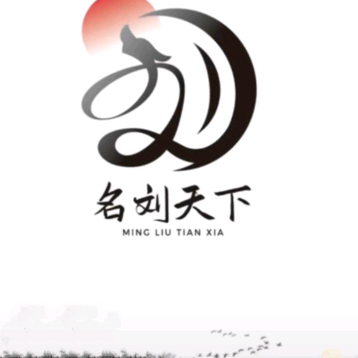 小 小 刘