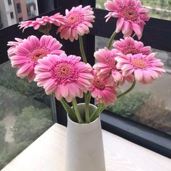 未来的明天