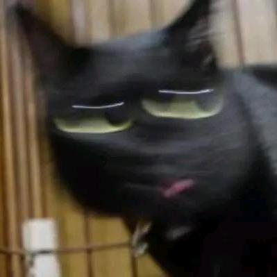 一声哈哈哈哈