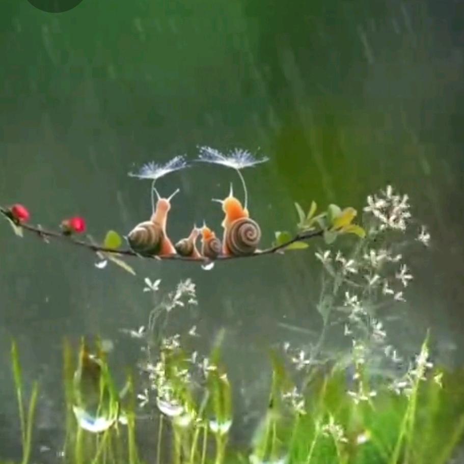 ℳঞ未来 ໌້ᮨ꧔ꦿ᭄可期💕