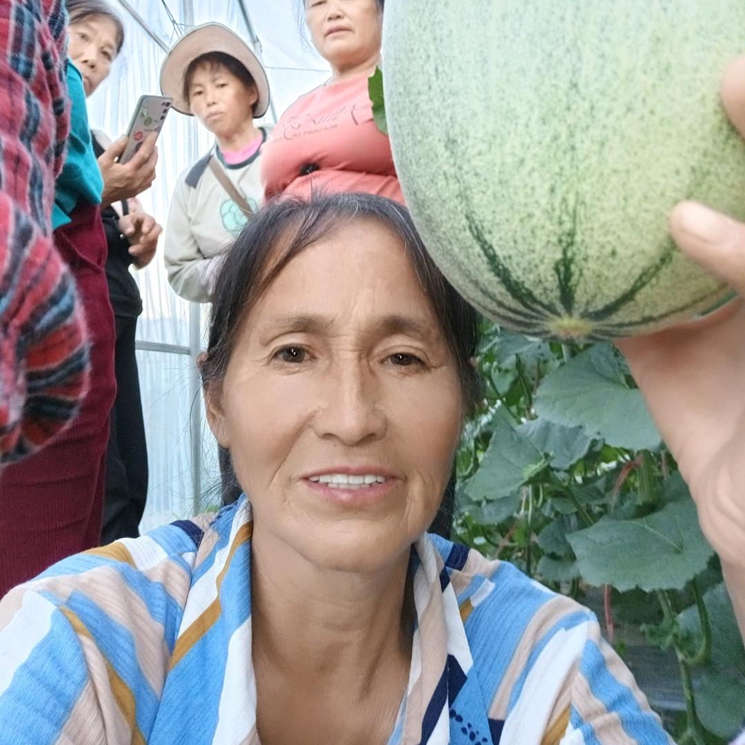 *赵元芬