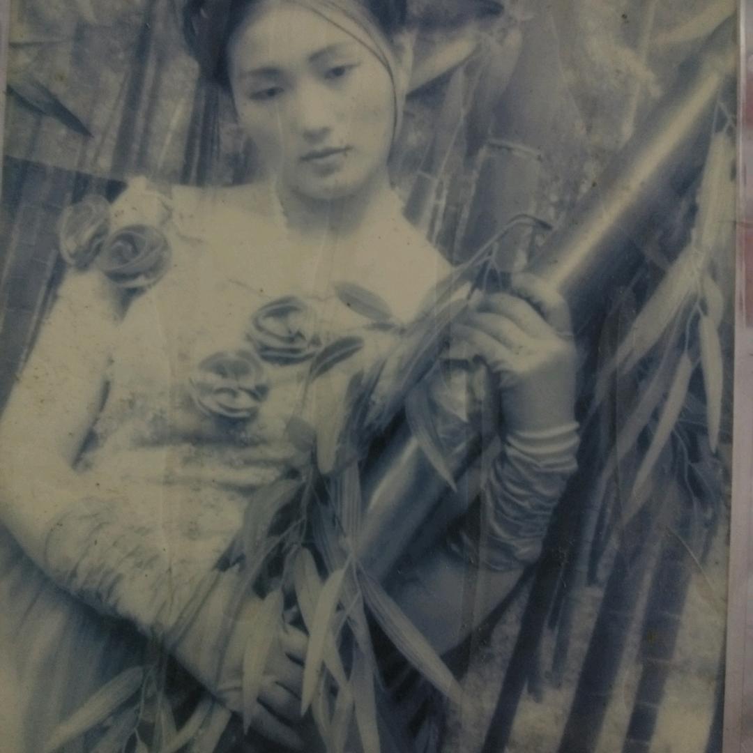 ☞张鱼小丸子