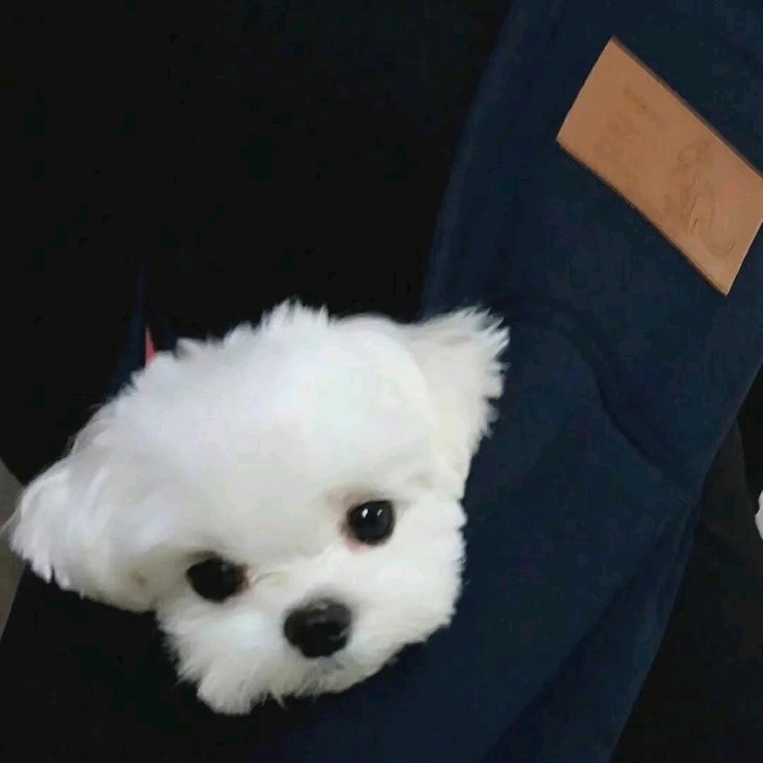 当当当当🧋