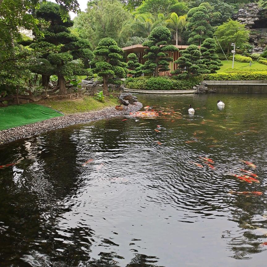 悦涛宝宝