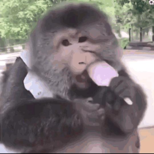 oi！！！头像