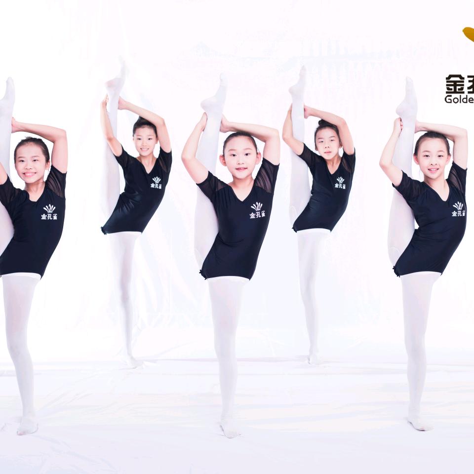 肥城市金孔雀艺术学校