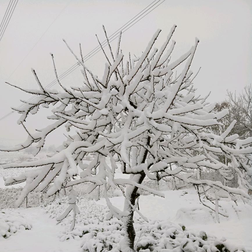 柳叶湖