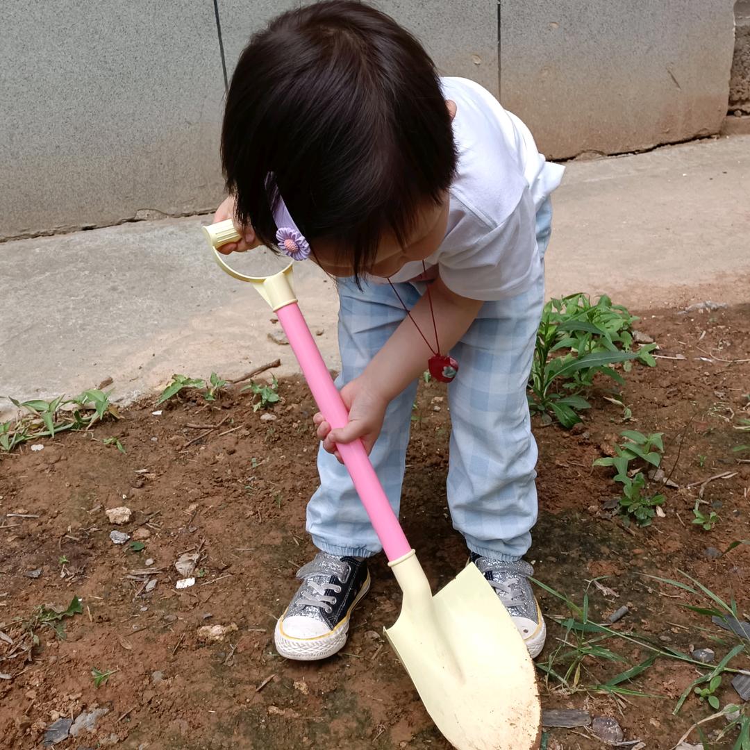 锦婵