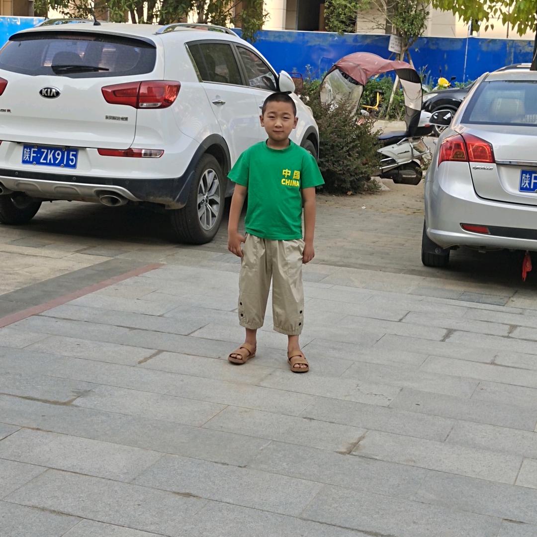 除了梦里再也没见过你