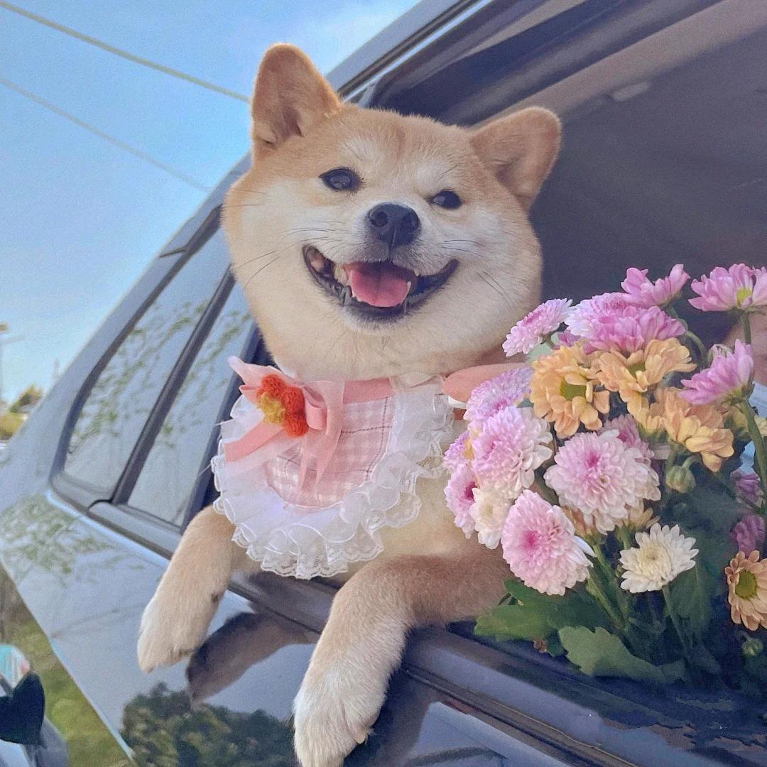 马婧雯头像