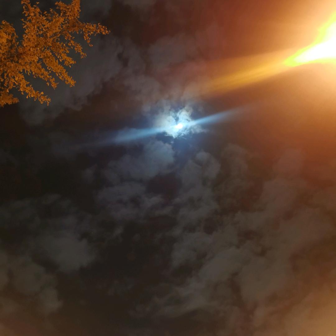 北
