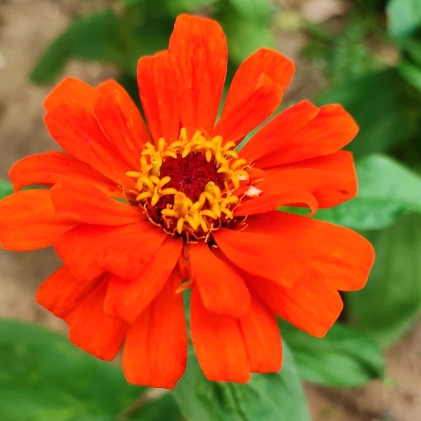 取一个独一无二的昵称