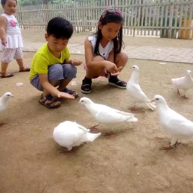 东方不败