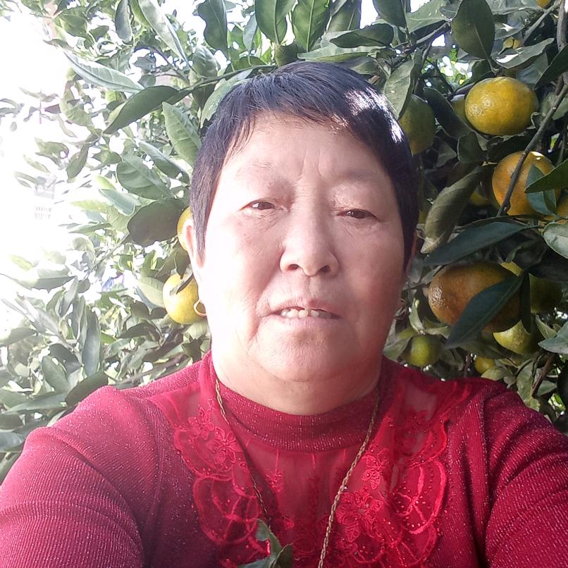 何姐|