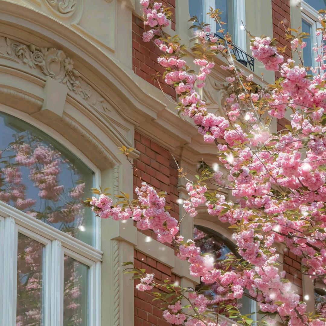 ღꦿᰰᰮ余꯭生💭请꦳ꦿ多指꯭教᭄💞