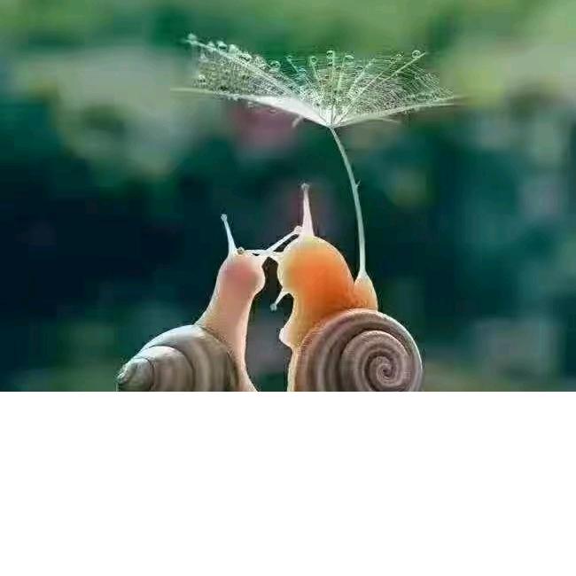 开心小梅子