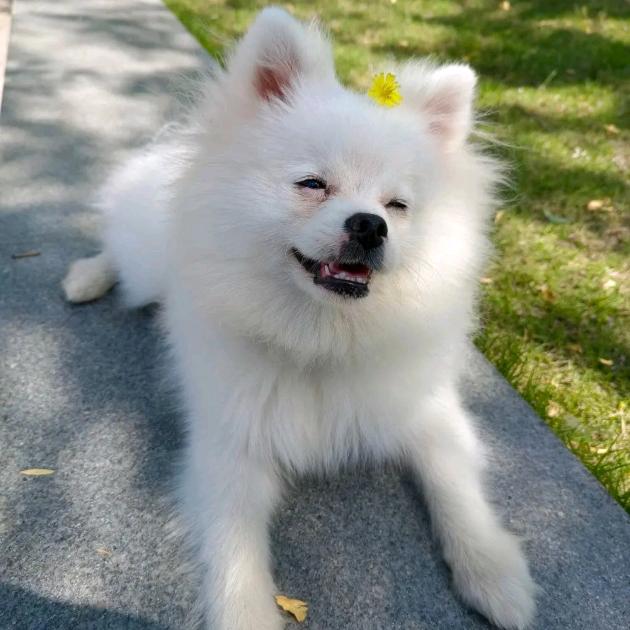 重阴润万物，何惧泽不周