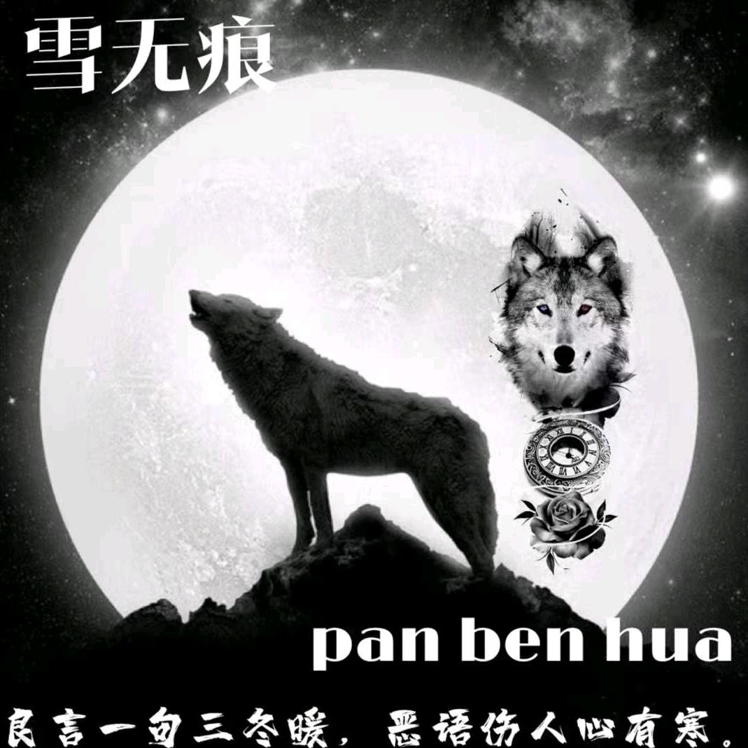 雪无痕