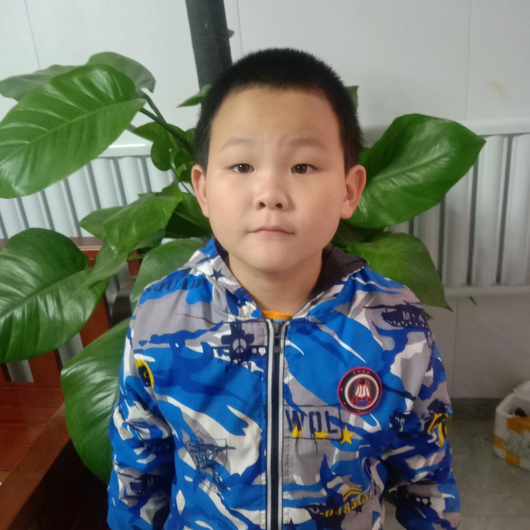 李聪明🐴