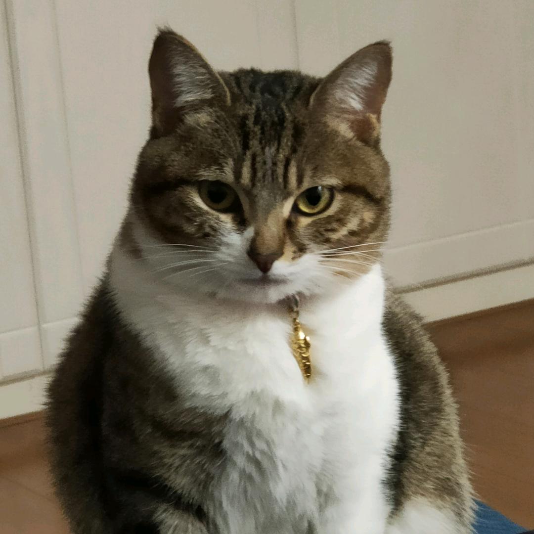 🎉恭 喜 發 財🎁