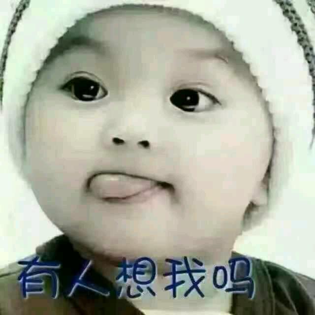 哥的岁月如歌