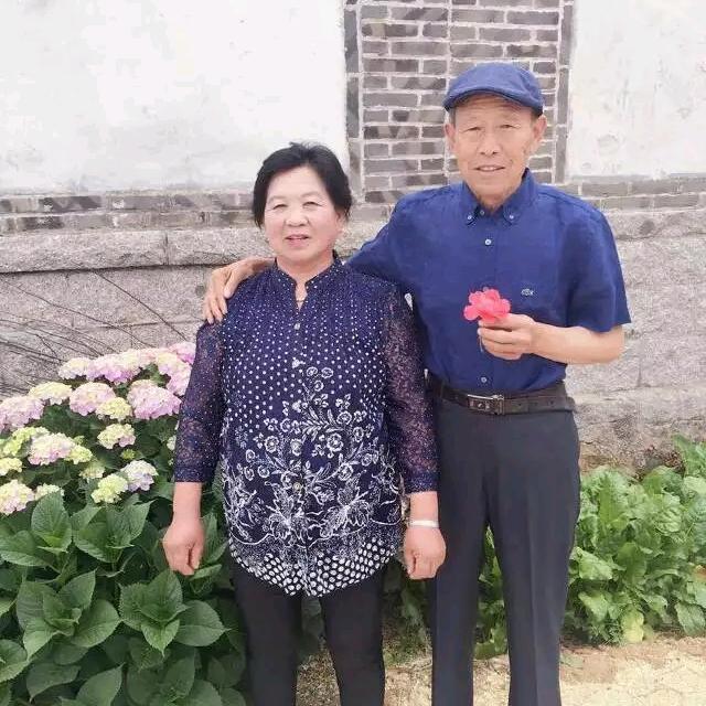 惠惠延年