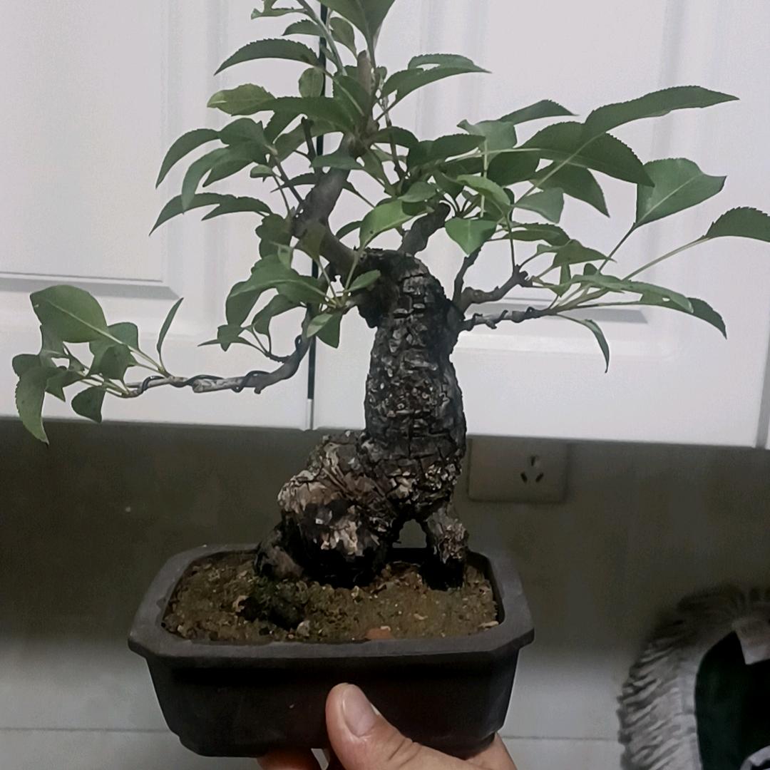 卓高美缝☞兰陵服务中