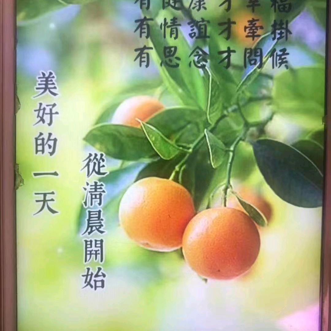 女汉子💐💐💐