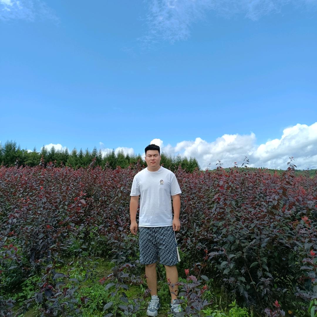 清原兆宏苗圃