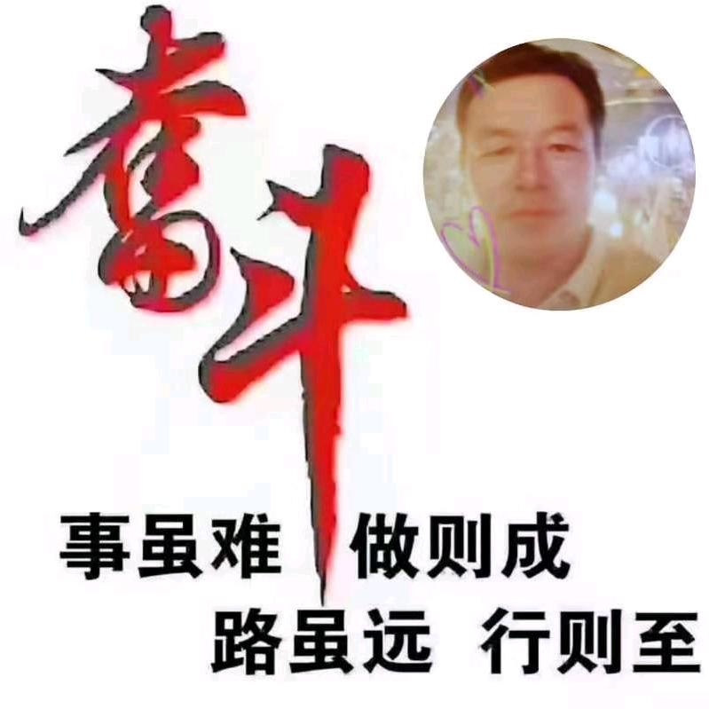 韶华逐梦