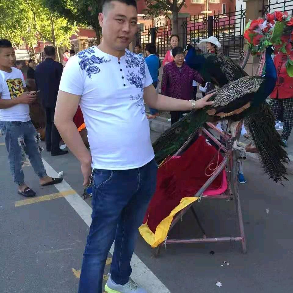 老刘