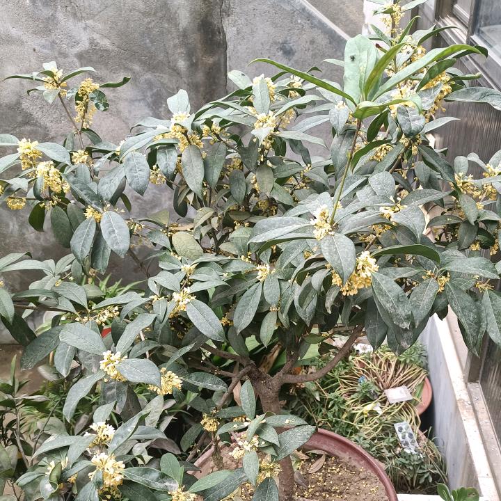 ♀①泩垨護♀