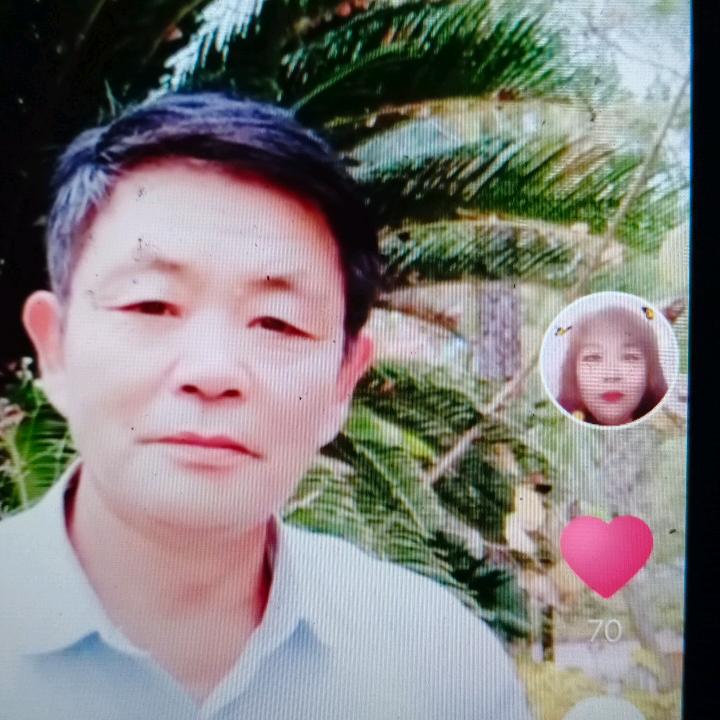 农村老马