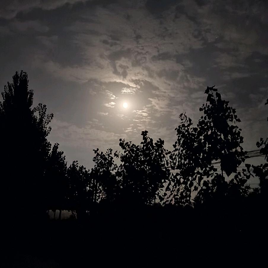 1️⃣🕸️💗深