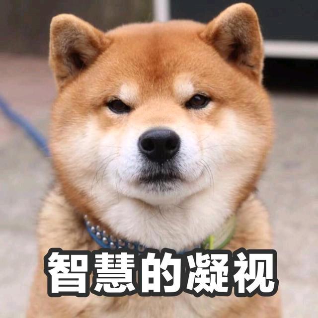 智慧的眼神