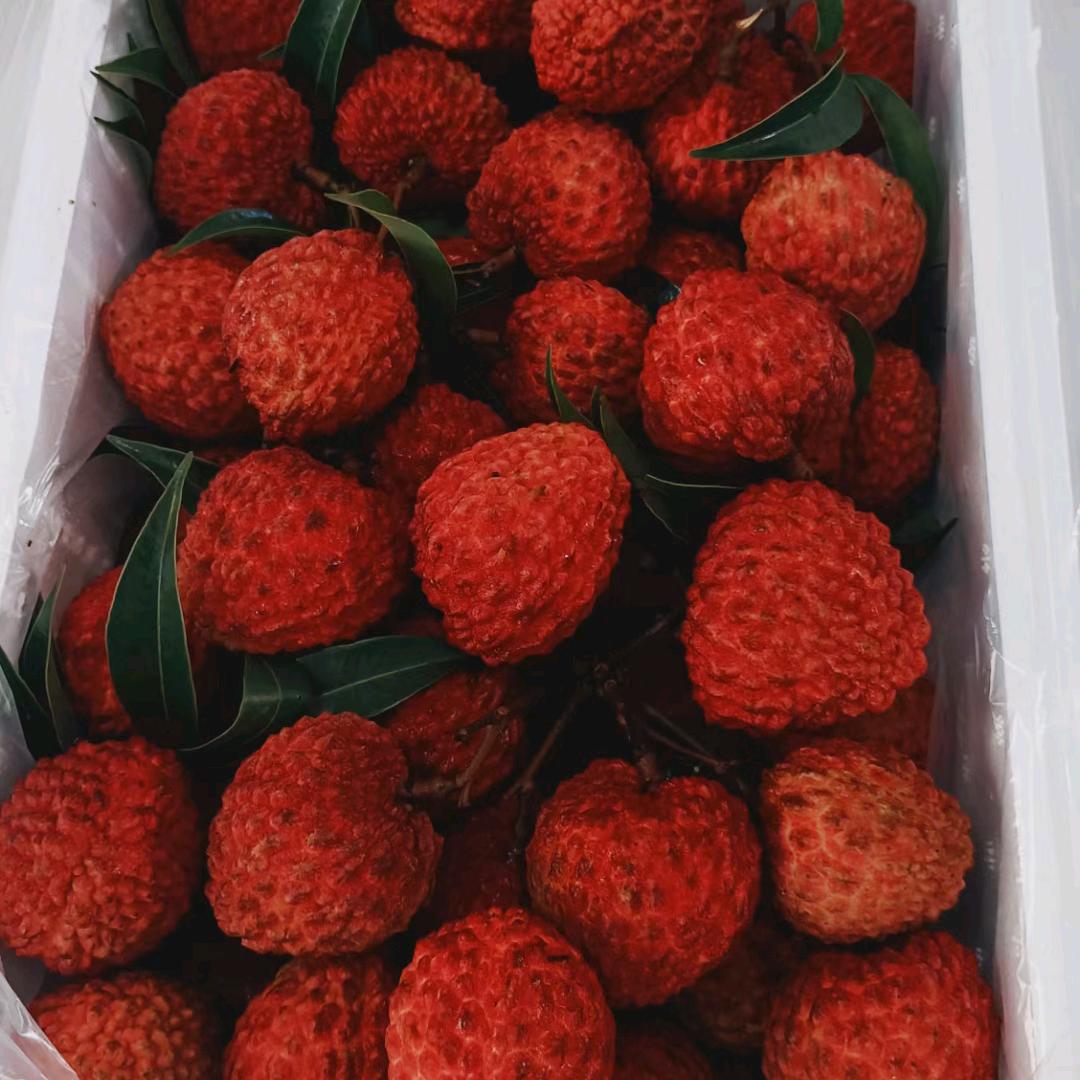 荔枝纸箱泡沫箱冰袋直销