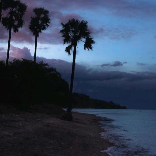 归寒夜
