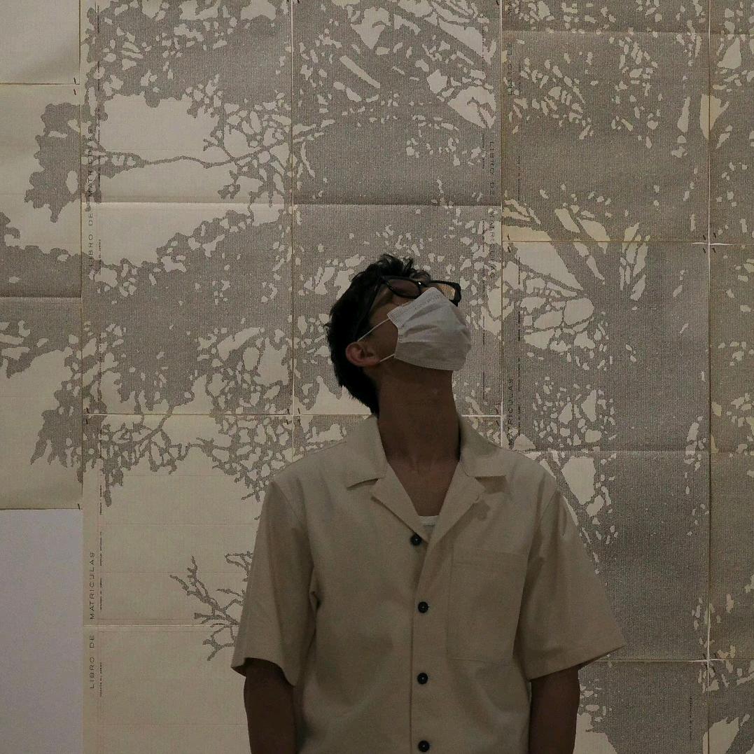 Zy椰子