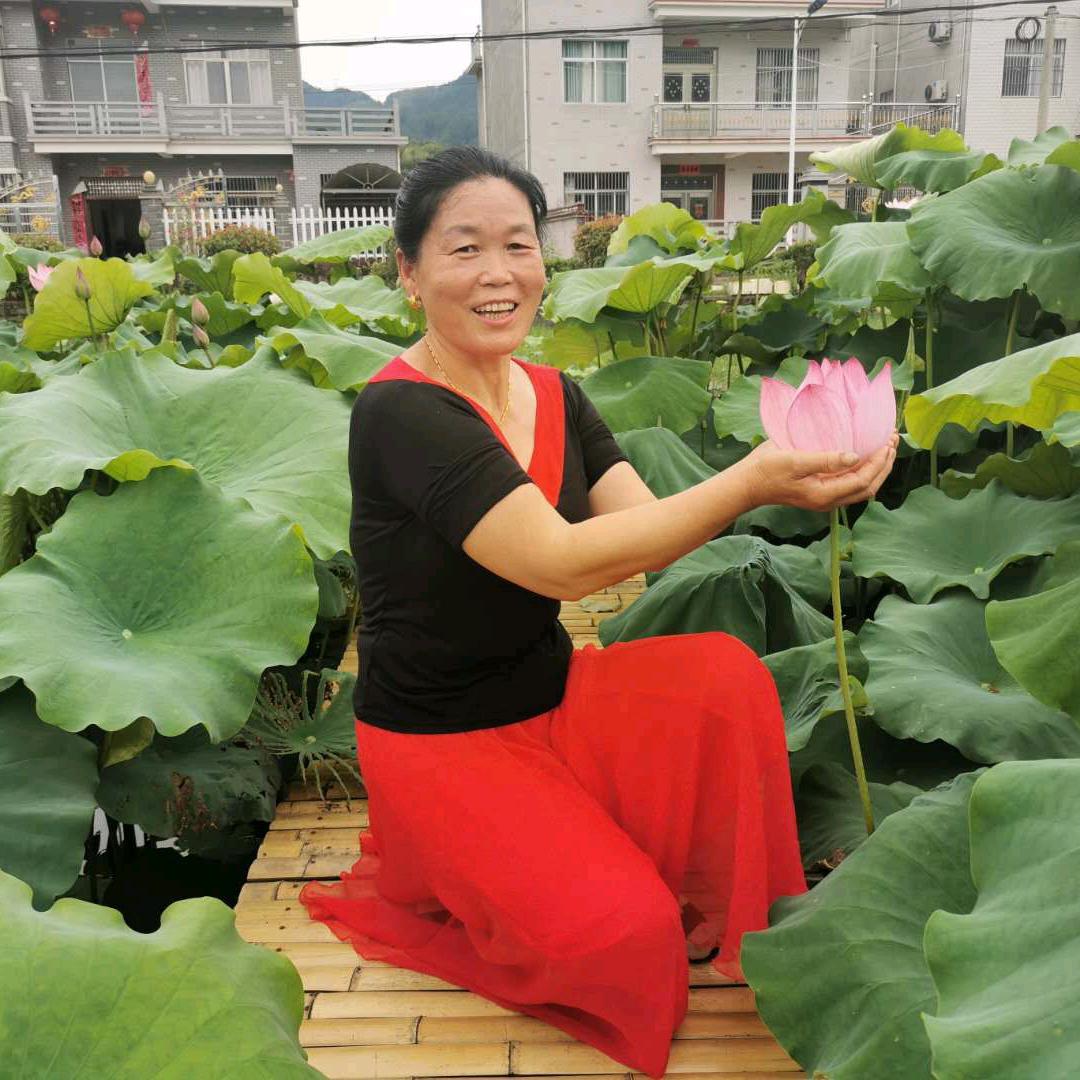 农村赵姐