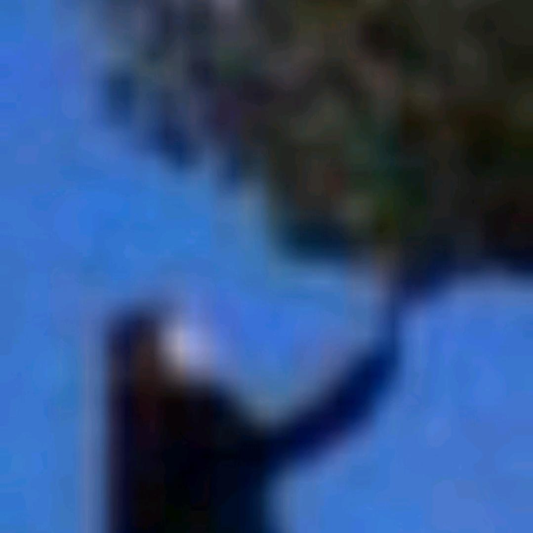 用户8586073221952